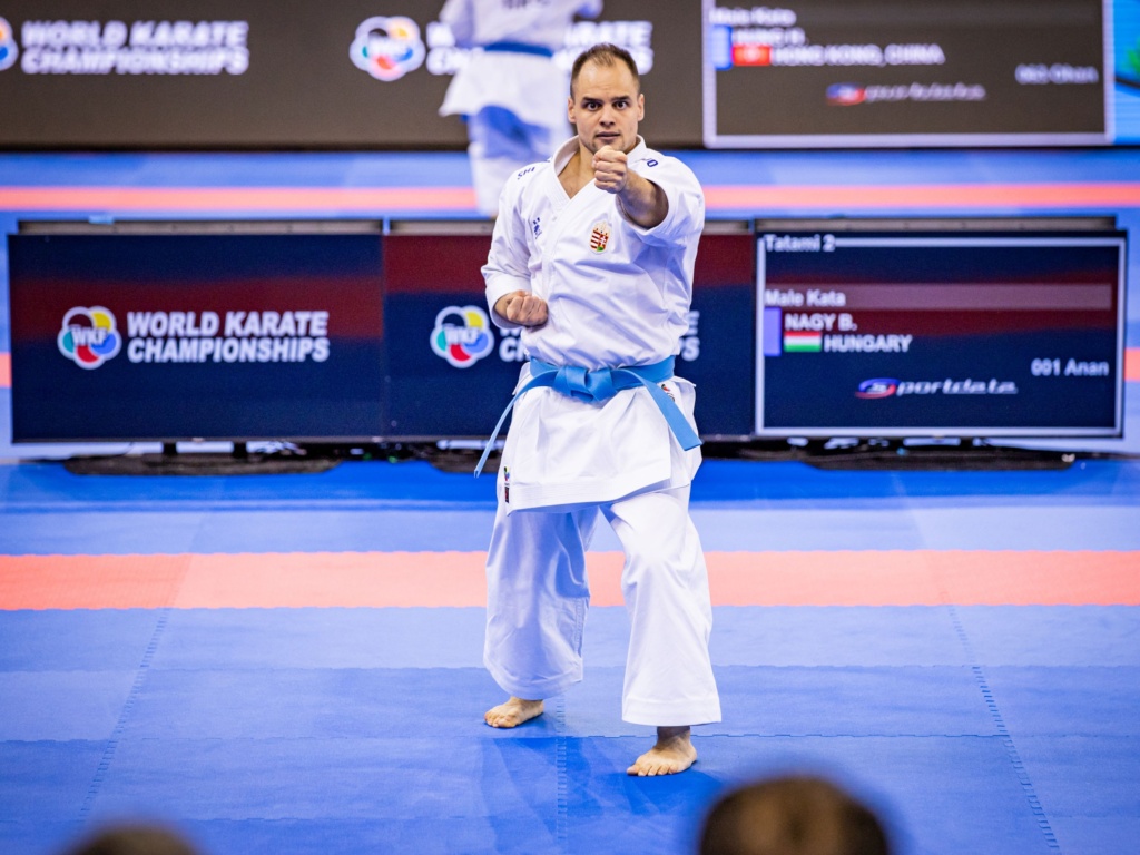 Read more about the article Nagy Botond hetedik lett a budapesti karate vb-n
