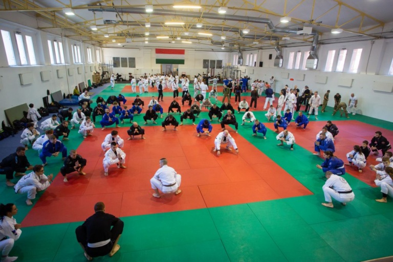 Read more about the article A jitsusok a húrok közé csaptak