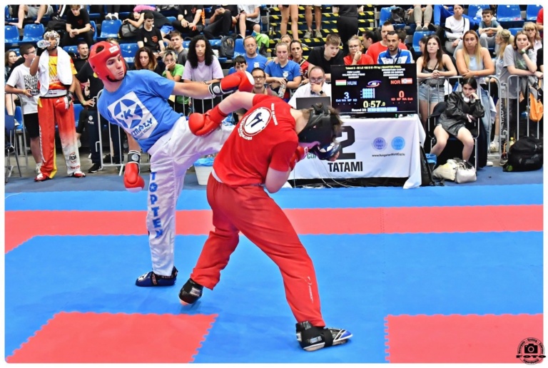 Read more about the article Tizenkét magyar arany a budapesti kick-box világkupán