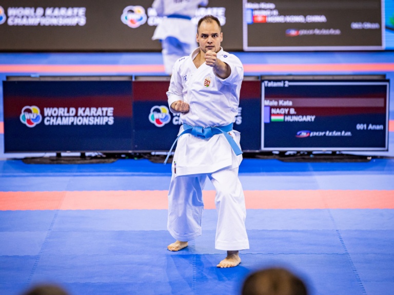 Read more about the article Nagy Botond hetedik lett a budapesti karate vb-n