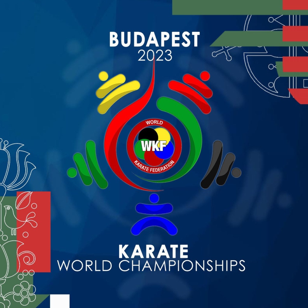 Read more about the article Dr. Mészáros János: Amit feltörekvő sportág elérhet, azt mi elértük