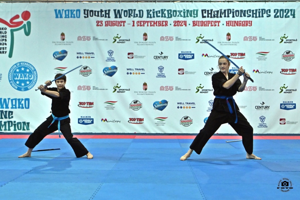 Read more about the article Utánpótlás kick-box világbajnokság – Magyar érmek formagyakorlatban